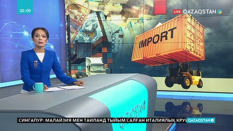 Елге импортталатын кей тауарлардың бағасы өсуі мүмкін
