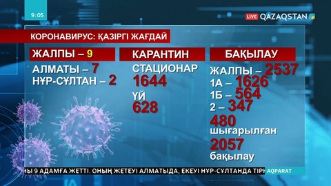 Коронавируске шалдыққандар саны - 9 адам
