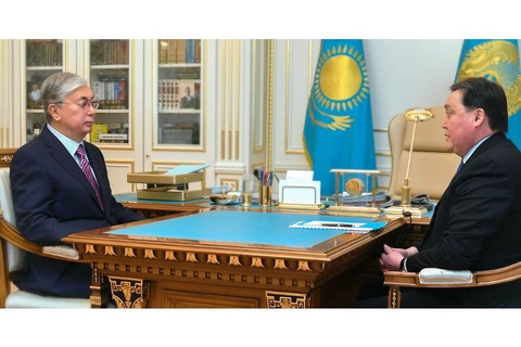 Президент төтенше жағдай режимін қамтамасыз ету жөніндегі мемкомиссия жұмысымен танысты