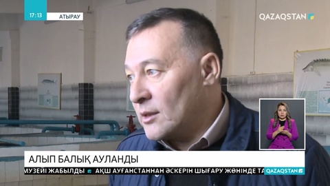 Атырауда Жайық өзенінен алып балық ауланды