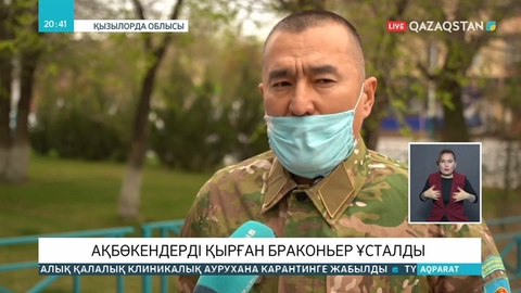 Сыр өңірінде ақбөкендерді атқан браконьерлердің бірі ұсталды