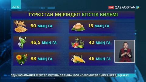 Түркістандағы шаруаларға өнімді экспорттауға рұқсат қағаз берілуде