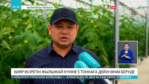 Қызылорданың сауда орындарында қияр бағасы екі-үш есеге арзандады