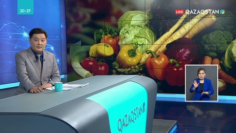 Көкөністі экспорттауға кедергі жоқ