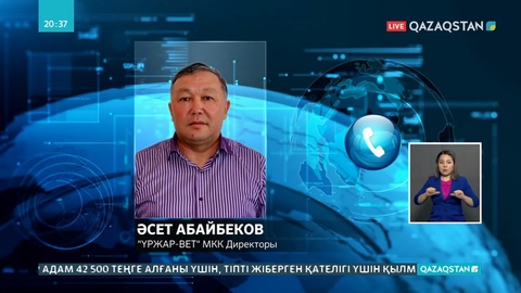 Шығыс Қазақстанда ірі қара мал белгісіз аурудан өліп жатыр