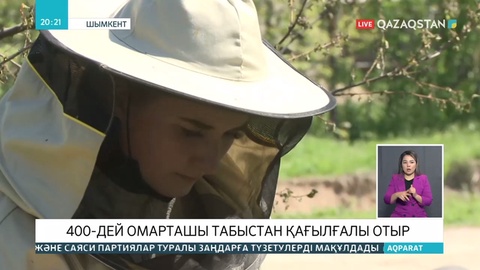 Түркістан облысында омарташылар бал араларын далаға жая алмай отыр