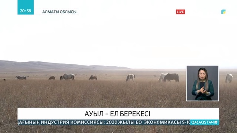 Жетісу өңірінде көктемгі дала жұмыстары қарқын алды