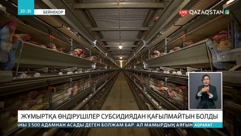 Елімізде жұмыртқаның өзіндік құны күрт өсті
