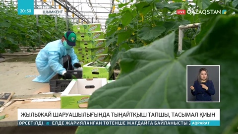 Карантин шаруаларға кедергі келтіруде