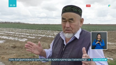 Түркістан облысындағы шаруалар өнімдерін өткізе алмай отыр