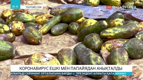 Танзанияда ешкі мен папайя жемісінен коронавирус анықталды