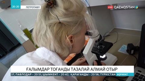 Теріскейлік ғалымдар биологиялық тоғанды табиғи жолмен тазалай алмай отыр