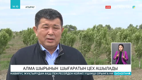 Атырауда алма шырынын шығаратын цех ашылады
