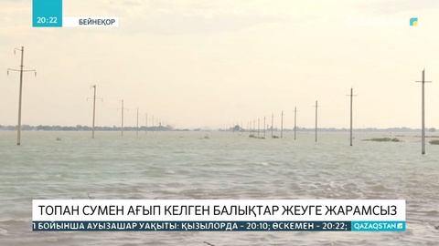 Сардобадағы топан сумен Мақтааралға ағып келген балықтар жеуге жарамсыз