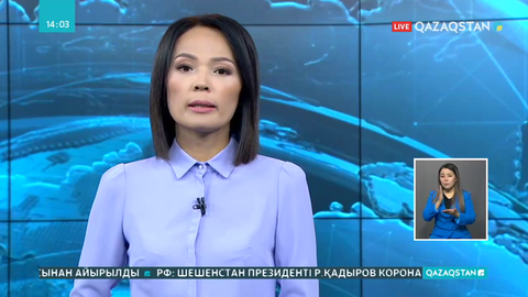 Саунада сауық құрған Шардара әкімі сөгіс алды