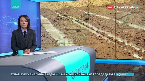 Құнарлы алқапты жергілікті халыққа емес, шеттен келген инвесторға беріп жіберген