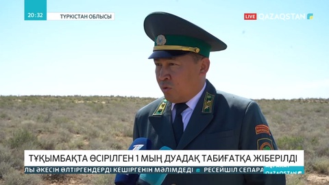 Тұқымбақта өсірілген мыңнан астам дуадақ еркіндікке жіберілді