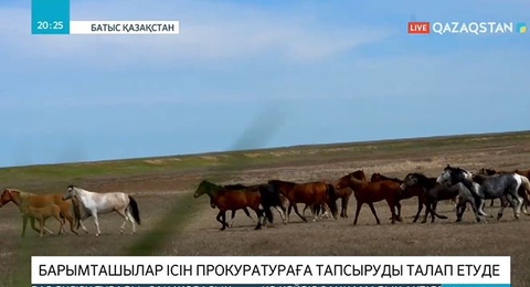 Барымташылардан зардап шеккендерді прокурор қабылдады