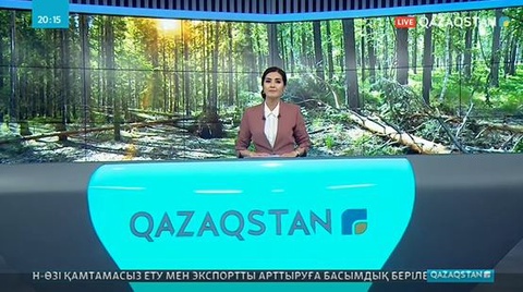 Бурабай орманында дауылдан 19 мыңнан астам ағаш құлаған