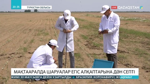 Мақтааралдағы су басқан алқаптарға дән егілуде