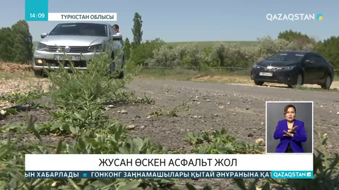 Былтыр күзде салынған тасжолға жусан өсіп кеткен