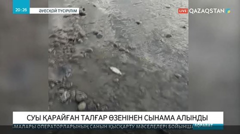Талғар өзенінің суы қарайып кетті