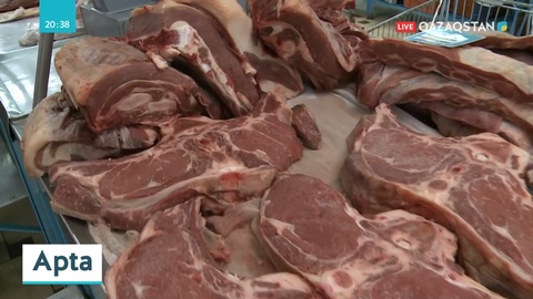 Ресей ғалымдары жасанды жылқы етін жасап шығармақ