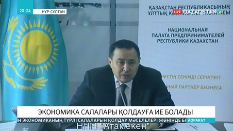 Үкіметте ел экономикасының салаларын дамыту мәселесіне қатысты жиын өтті