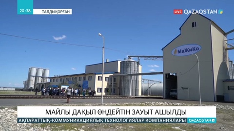 Талдықорғанда майлы дақылдарды өңдейтін жаңа зауыт іске қосылды