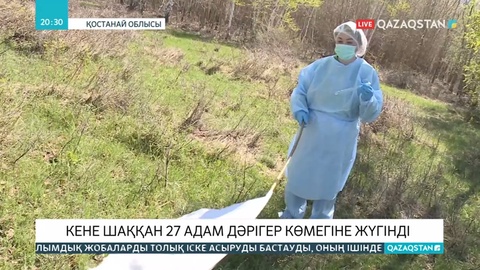 Қостанай облысында 30-ға жуық адамды кене шаққан
