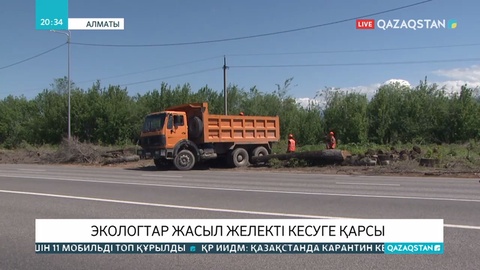 Алматылық эко белсенділер жол бойындағы жасыл желекті кесуге қарсы