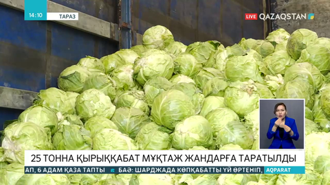 25 тонна қырыққабат мұқтаж жандарға таратылды