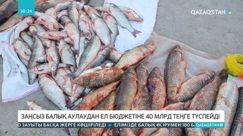 Елімізде 9 мың заңсыз қоқыс алаңы анықталған