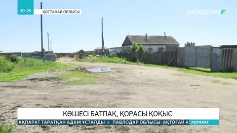 Новоселов ауылы тұрғындары үйілген қоқыстың зардабын тартуда