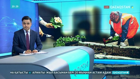 Көкшетауда биыл көгалдандыру жұмыстары дұрыс жүргізілмеген