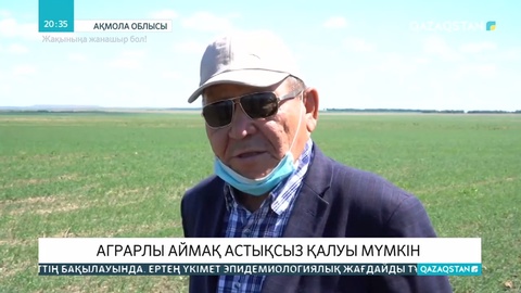 Ақмола облысы биыл астықсыз қалуы мүмкін