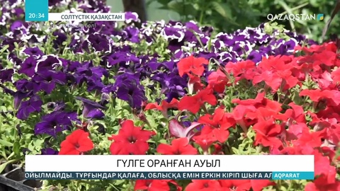 Имантау ауылының тұрғындары гүл өсіріп сатуды кәсіпке айналдырған