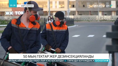 Елордада масаларды улау шаралары жаз бойы жүргізіледі