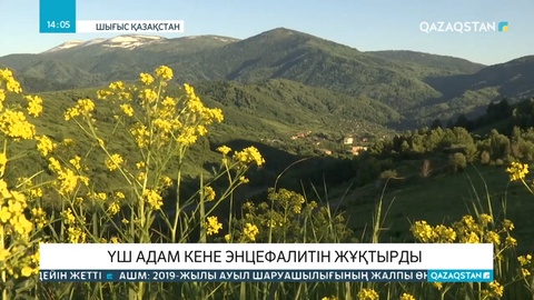 ШҚО-да 3 адам кене энцефалитін жұқтырды