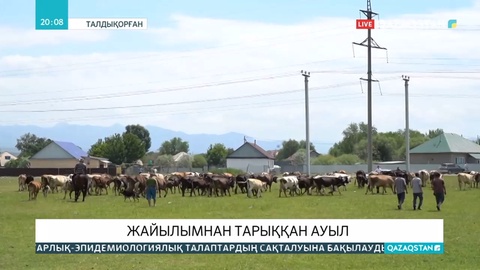 Еркін ауылының тұрғындары қорадағы малын әкімдік алдына айдап барды