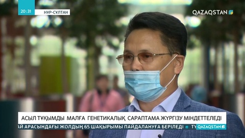 Асыл тұқымды малды тіркеудің бірыңғай жүйесі енгізіледі