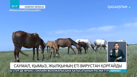 Саумал вирустан қорғай ма?