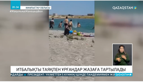 Итбалықты таяқпен ұрғандар жазаға тартылады