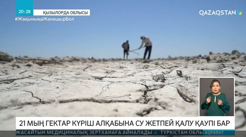 21 мың гектар күріш алқабына су жетпей қалу қаупі бар