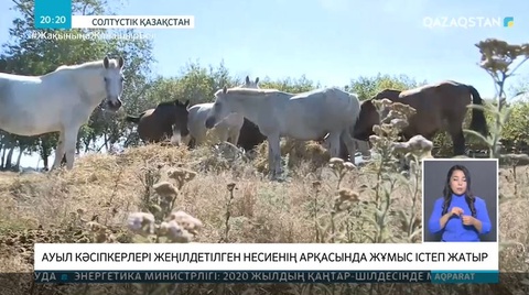 Солтүстік қазақстанда «Еңбек» бағдарламасына жүгінгендер саны артқан