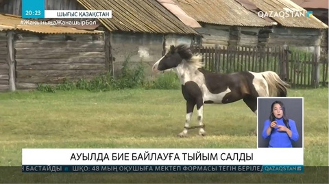 Шығыс Қазақстанда ауылда бие байлауға тыйым салды