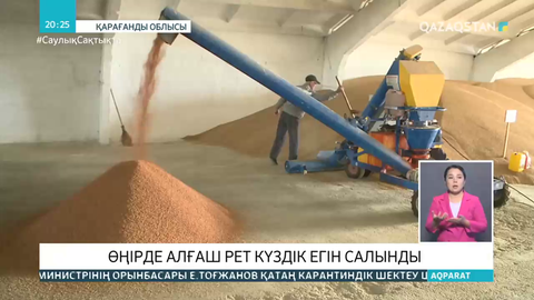 Қарағанды облысында алғаш рет күздік егін салынды