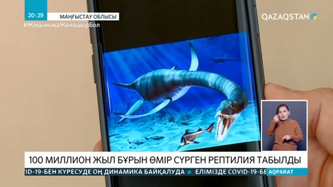 100 миллион жыл бұрын өмір сүрген рептилия табылды
