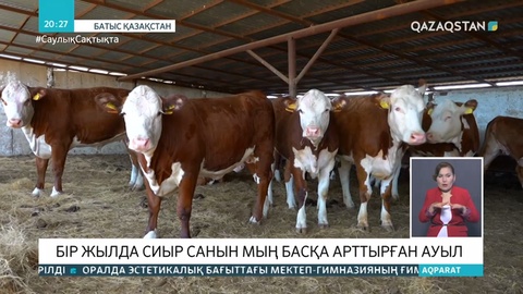 «Сыбаға» бағдарламасының шарапатын батысқазақстандық шаруалар көріп отыр