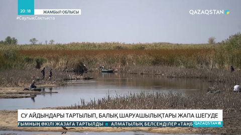 Жамбыл облысында су айдындары тартылып, балық шаруашылықтары жапа шегуде